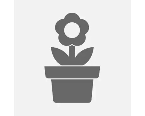 Pictogramă cu o plantă într-un ghiveci