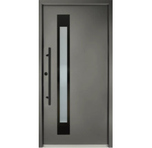 Ușă de intrare modernă din aluminiu gri cu geam satinat vertical și mâner lung de tip bară.