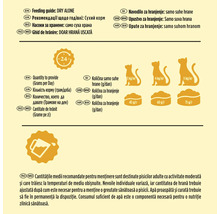Ghid hrănire pisici: 45 grame la 3 kilograme, 60 grame la 4 kilograme, 75 grame la 5 kilograme de hrană uscată. Simboluri pentru 24 ore și apă proaspătă.
