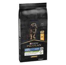 Purina Pro Plan Large Robust Puppy Healthy Start hrană pentru căței de talie mare cu pui, 12 kilograme.