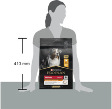 Hrană pentru câini Purina Pro Plan Adult Medium cu pui, înălțimea pachetului 413 milimetri în comparație cu o persoană.