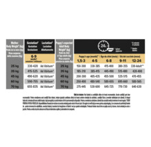 Tabel cu recomandări de hrănire pentru cățele gestante, care alăptează și cățeluși, cu cantități în grame pe 24 de ore în funcție de greutate.