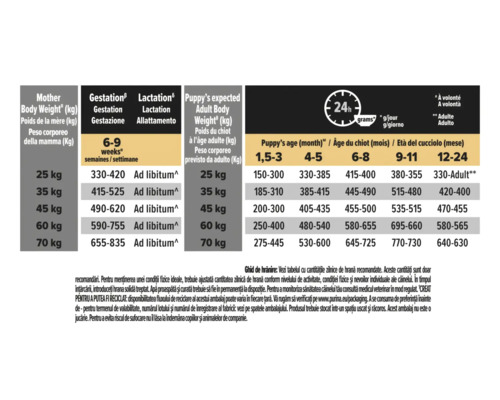 Tabel cu recomandări de hrănire pentru cățele gestante, care alăptează și cățeluși, cu cantități în grame pe 24 de ore în funcție de greutate.