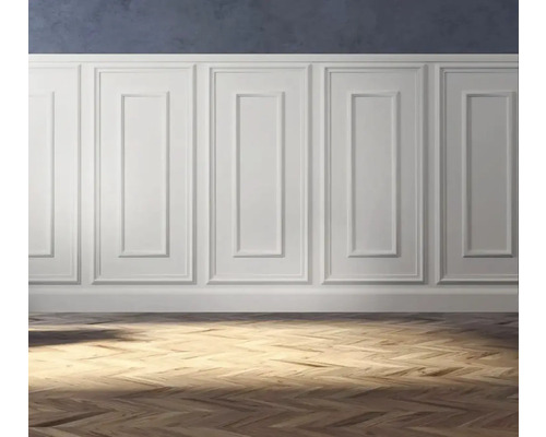 Panouri de perete clasice cu design tip casetă plintă asortată și pardoseală din parchet cu model în spic