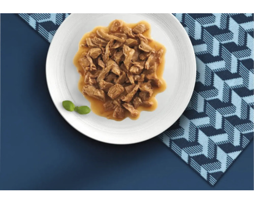 Hrană umedă pentru pisici cu bucățele de carne în sos servită pe o farfurie.