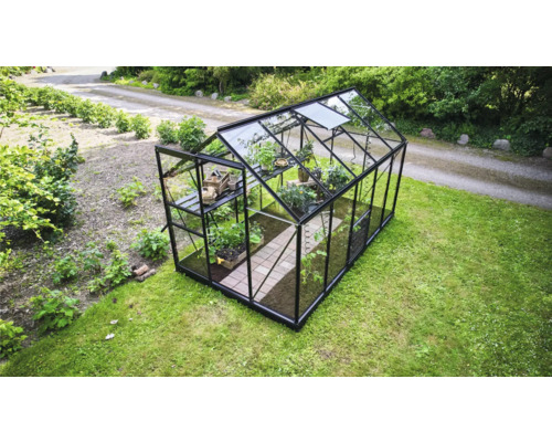 Seră modernă cu cadru din aluminiu negru și pereți din sticlă în grădină, dotată cu rafturi și plante.
