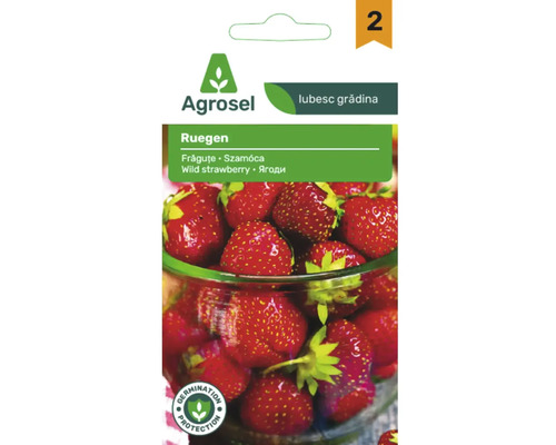 Agrosel Logo, semințe pentru frăguțe Ruegen, ilustrație cu un bol de căpșuni coapte și sigiliu pentru protecția germinației.