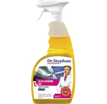 Soluție lustruire inox Dr. Stephan Professional Bright, 750 mililitri, flacon cu pulverizator pentru curățarea suprafețelor din inox.
