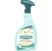 Soluție de curățat universală dezinfectant Sanytol în flacon cu pulverizator, parfum de măr verde.