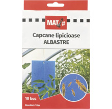 Capcane lipicioase albastre MAT pentru combaterea tripsilor, set de 10 bucăți pentru protecția plantelor.