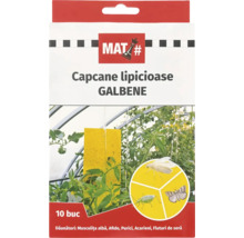 Logo MAT. Capcane lipicioase galbene pentru dăunătorii plantelor, 10 bucăți, cu imaginea unei capcane în seră și detalii cu insecte.