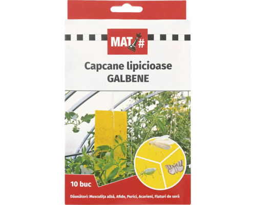 Logo MAT. Capcane lipicioase galbene pentru dăunătorii plantelor, 10 bucăți, cu imaginea unei capcane în seră și detalii cu insecte.