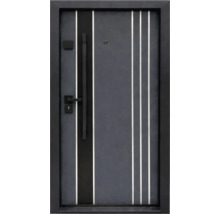 Ușă de intrare cu benzi decorative verticale, mâner lung, vizor și cadru.