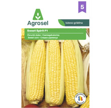 Plic cu semințe de porumb dulce Agrosel Sweet Spirit F1 cu imaginea a trei știuleți galbeni și Agrosel Logo.