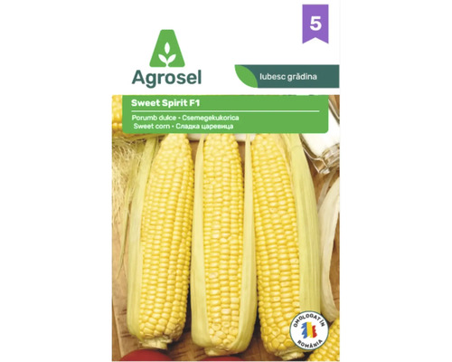 Plic cu semințe de porumb dulce Agrosel Sweet Spirit F1 cu imaginea a trei știuleți galbeni și Agrosel Logo.