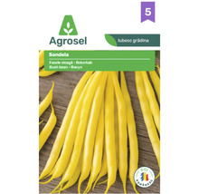 Semințe de fasole oloagă Agrosel Sondela cu ilustrație de păstăi galbene.