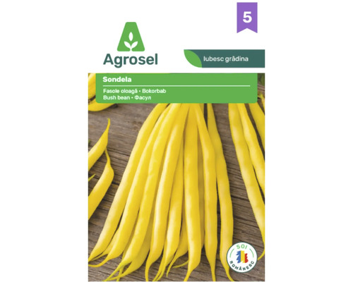 Semințe de fasole oloagă Agrosel Sondela cu ilustrație de păstăi galbene.