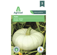 Logo Agrosel, plic cu semințe de dovleac Tudor, dovleac alb striat pe plantă, sigiliu pentru protecția germinării și soi românesc.