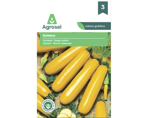 Plic cu semințe Agrosel pentru dovlecel galben Goldena cu imaginea mai multor dovlecei galbeni și sigiliul de protecție a germinării.