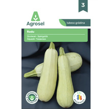 Semințe de dovlecel Agrosel Radu, plic cu imaginea unor dovlecei de culoare deschisă.