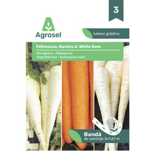 Bandă de semințe Agrosel mix de legume cu morcovi Nantes 2 și păstârnac White Gem, 3 ori 1,67 metri.