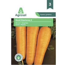 Semințe de morcov Agrosel Royal Chantenay 2, cu protecție la germinare.