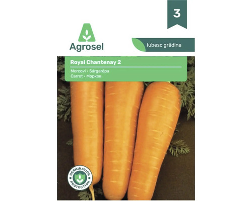 Semințe de morcov Agrosel Royal Chantenay 2, cu protecție la germinare.