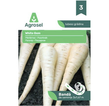 Bandă de semințe de păstârnac Agrosel White Gem, 3 ori 1,67 metri.