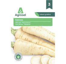 Plic cu semințe de pătrunjel de rădăcină Agrosel soiul Cukrowa cu imagine a rădăcinilor albe, sigiliu de protecție a germinării și logoul Agrosel.
