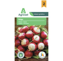 Agrosel Logo. Semințe de ridichi Helga. Imagine cu ridichi rotunde roșii și albe. Sigiliu pentru protecția germinației și soi românesc.