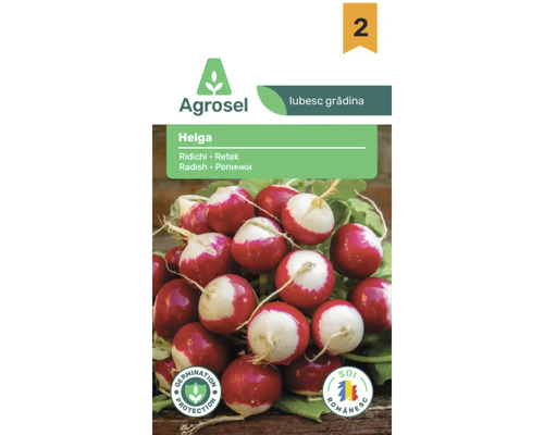 Agrosel Logo. Semințe de ridichi Helga. Imagine cu ridichi rotunde roșii și albe. Sigiliu pentru protecția germinației și soi românesc.
