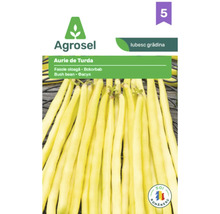 Agrosel Logo, semințe de fasole oloagă Aurie de Turda cu păstăi lungi galbene.