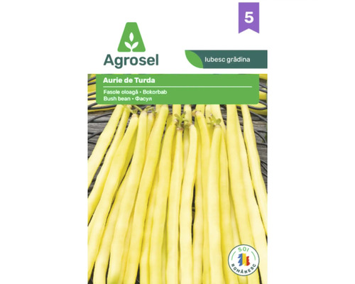 Agrosel Logo, semințe de fasole oloagă Aurie de Turda cu păstăi lungi galbene.