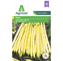 Logo Agrosel, semințe de fasole oloagă Ileana, fasole galbenă, soi românesc