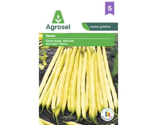 Logo Agrosel, semințe de fasole oloagă Ileana, fasole galbenă, soi românesc