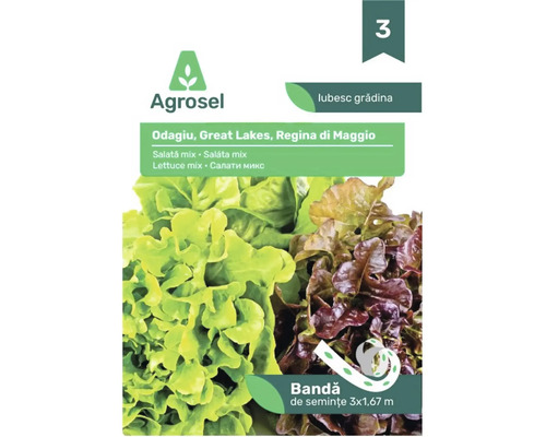 Semințe Agrosel mix de salată Odagiu, Great Lakes și Regina di Maggio, 3 pe 1,67 metri bandă de semințe