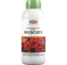 Îngrășământ lichid Agrisol pentru mușcate, flacon de 1 litru, conținut de nutrienți 2-2,5-3,5.