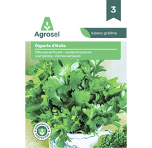 Agrosel Logo, plic semințe pătrunjel de frunză Gigante d'Italia cu imaginea pătrunjelului verde și simbol pentru protecția germinației.