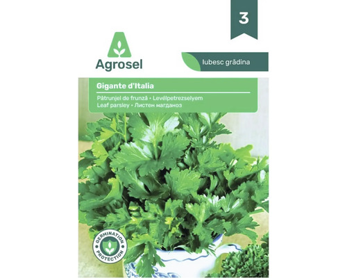 Agrosel Logo, plic semințe pătrunjel de frunză Gigante d'Italia cu imaginea pătrunjelului verde și simbol pentru protecția germinației.