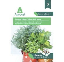 Agrosel bandă de semințe mix plante aromatice cu cimbru, mărar și țelină de frunze, 3 bucăți de 1,67 metri.