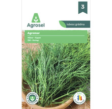 Plic cu semințe de mărar soiul Agromar de la Agrosel.