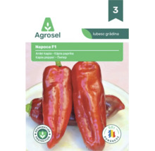 Plic de semințe Agrosel pentru ardei kapia Napoca F1, Agrosel Logo, sigiliu de protecție a germinației și sigiliu pentru soi românesc.