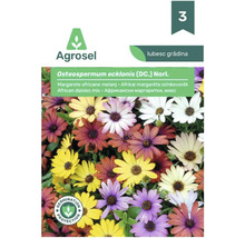 Plic semințe Agrosel Osteospermum ecklonis amestec margarete africane cu simbol pentru protecție la germinare și Agrosel Logo.
