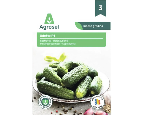 Plic cu semințe de castraveți pentru murături Agrosel Odette F1 cu imaginea unor castraveți verzi mici pe o farfurie.