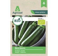 Logo Agrosel, semințe de dovlecel bio soiul Black Beauty, certificat ecologic european