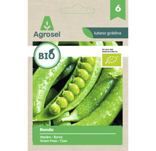 Agrosel Logo. Semințe de mazăre bio Rondo cu siglă ecologică europeană.