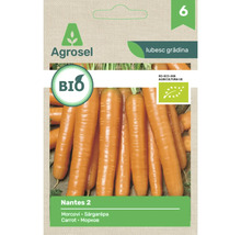 Semințe de morcov bio Nantes 2 de la Agrosel, plic de semințe cu imaginea unor morcovi, sigla Bio și logo-ul Uniunii Europene pentru produse ecologice.