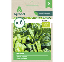 Semințe bio Agrosel de spanac Matador în plic cu imaginea frunzelor și sigla agricultură ecologică UE.