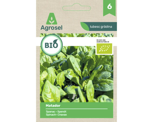 Semințe bio Agrosel de spanac Matador în plic cu imaginea frunzelor și sigla agricultură ecologică UE.