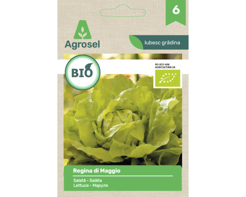 Plic cu semințe de salată ecologică Agrosel Regina di Maggio cu siglă biologică a Uniunii Europene.
